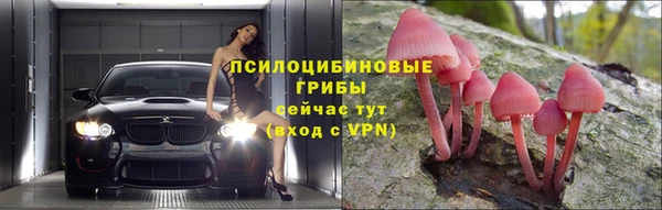 трава Балахна