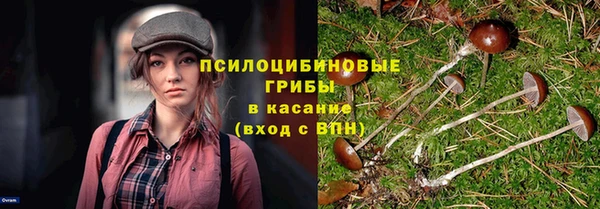 jwh Белокуриха