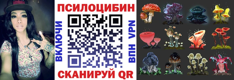 Галлюциногенные грибы ЛСД  МЕГА как зайти  Нестеровская 