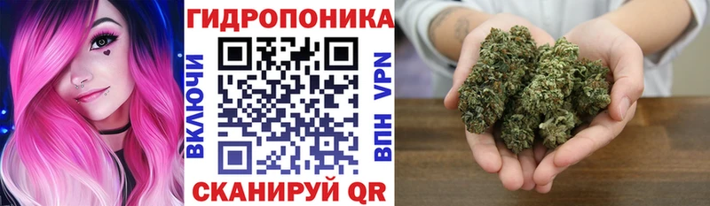 Марихуана LSD WEED  где купить наркоту  гидра как зайти  Нестеровская 